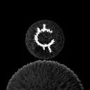 cryptomannn logo